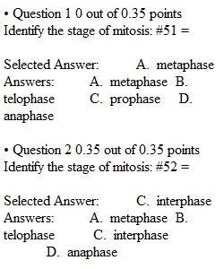 Lab Exam 3